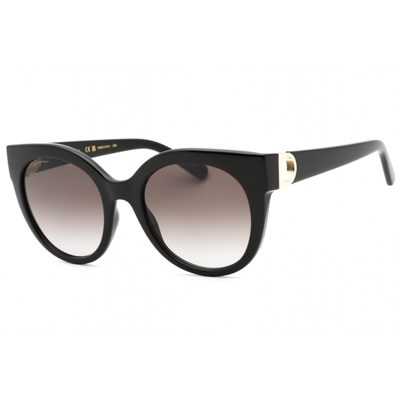 Salvatore Ferragamo SF1031S Sunglasses Black Round